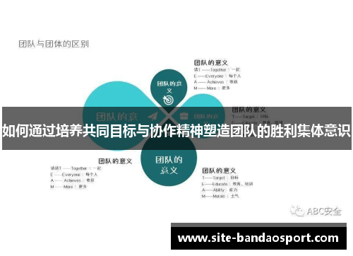 如何通过培养共同目标与协作精神塑造团队的胜利集体意识