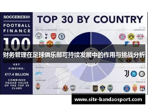 财务管理在足球俱乐部可持续发展中的作用与挑战分析 财务管理在足球俱乐部可持续发展中的作用与挑战分析