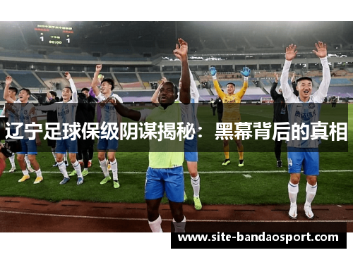 辽宁足球保级阴谋揭秘：黑幕背后的真相